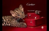 Cartier-1-1